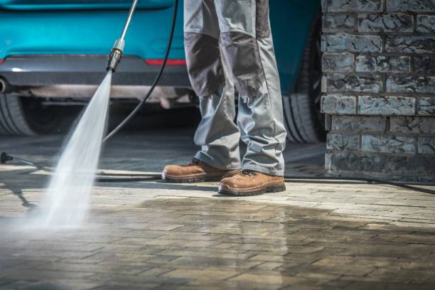 Best Soft Washing for Delicate Surfaces in Rice, MN