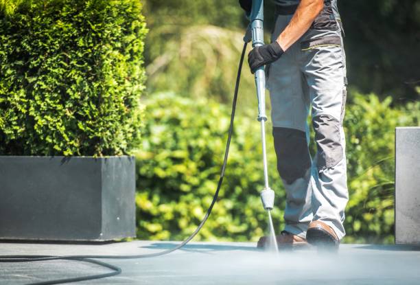 Best Gutter Cleaning and Brightening in Rice, MN