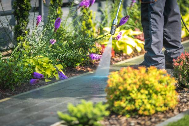Best Concrete Surface Cleaning in Rice, MN