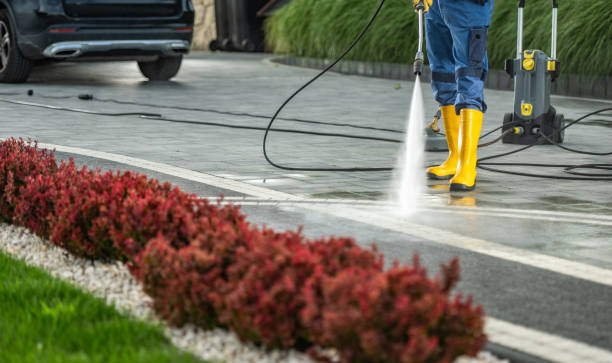 Best Driveway Cleaning and Restoration in Rice, MN